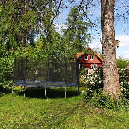 Altes Forsthaus Laubusch Lauta Exterior foto